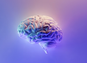 A human brain on a purple background